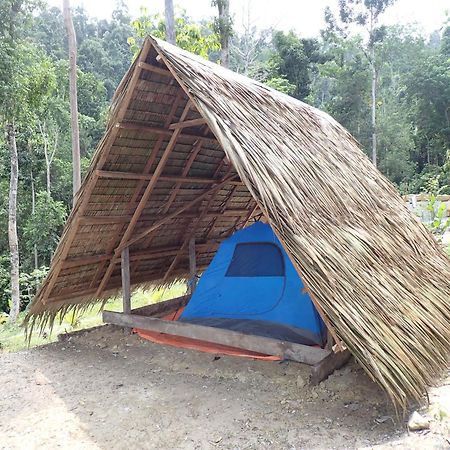 Tentstar Eco Resort San Vicente  Exteriör bild