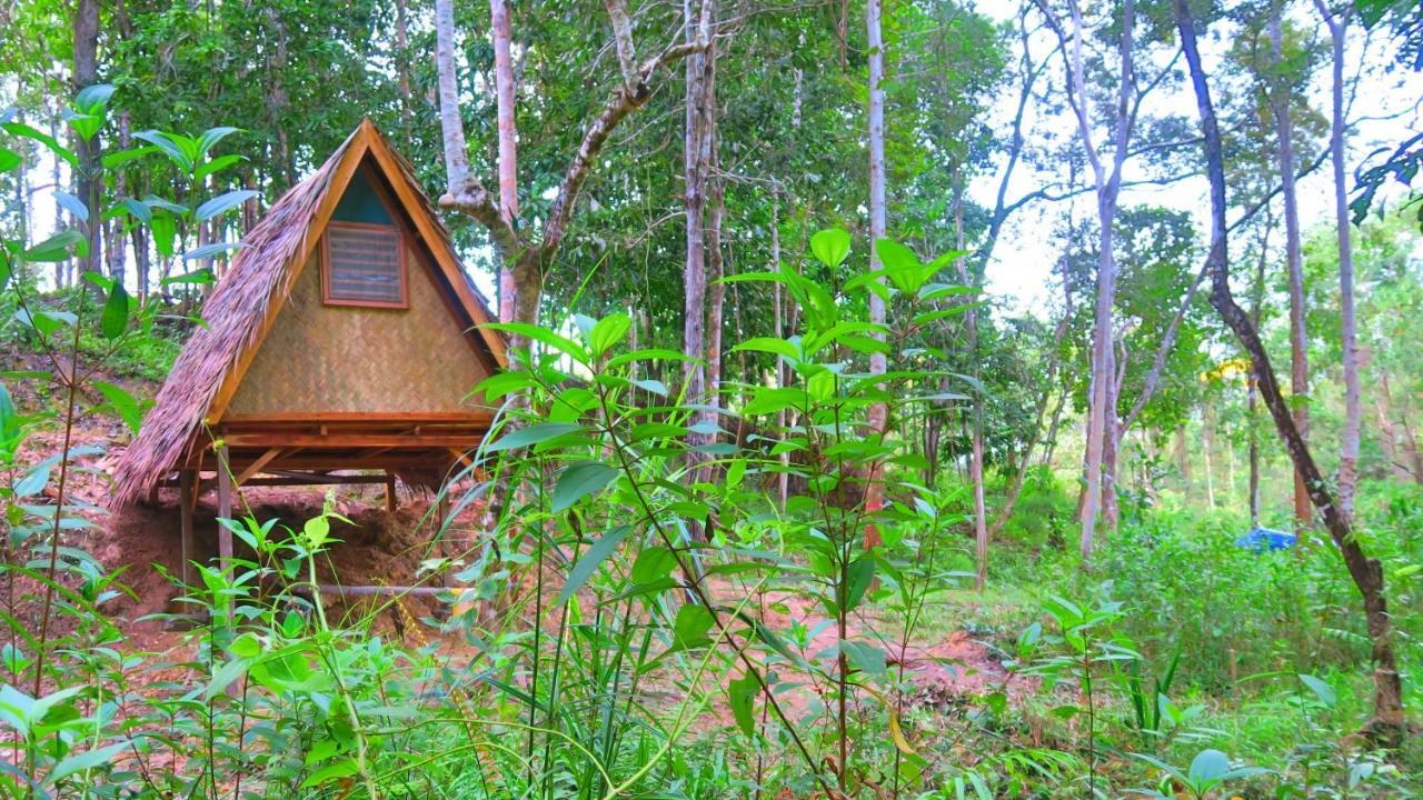 Tentstar Eco Resort San Vicente  Exteriör bild